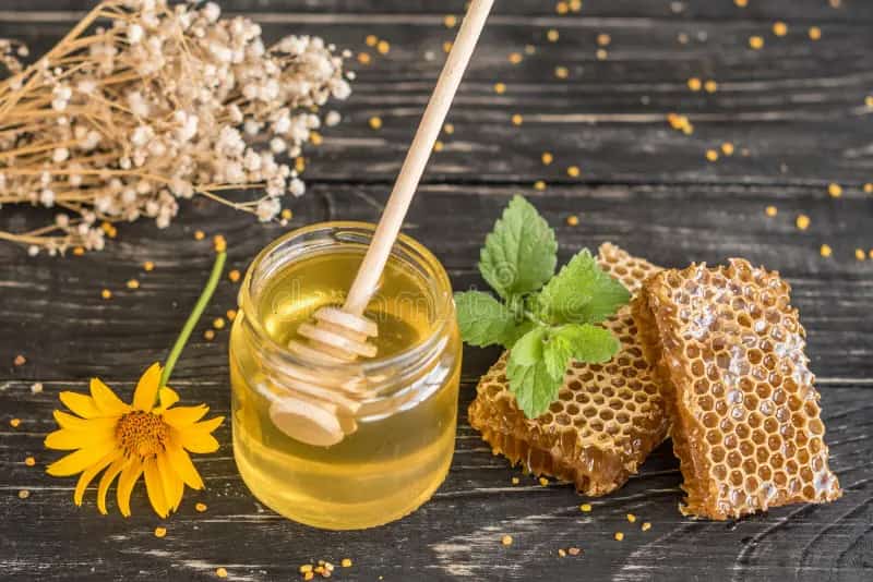 عسل کوهی خوزستان خالص با طعم اصیل کوهستان